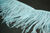 Перо страуса на ленте TSS-20 (мятный цвет) 