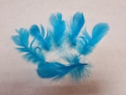 Перо лебедя PPL5-13-16 (голубой) Цена за 10 шт