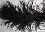 Боа из перьев страуса BS30-3 (черный) Цена за 2 метра