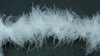 Боа из перьев марабу BOAM15-1 (белый) 