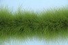 Боа из перьев марабу BOAM20-56 (болотный) 