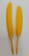 Перо курицы OPR10-15-7 (желтый) Цена за 10 шт