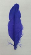 Перо курицы PR10-15-44 (фиолетовый) Цена за 10 шт