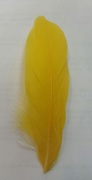 Перо курицы PR10-15-9 (ярко желтый) Цена за 10 шт