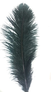 Перо страуса PRK30-35-3 (черный) Цен за 3 шт