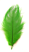 Перо страуса PRK30-35-19 (светло зеленый) Цена за 5 шт