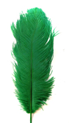 Перо страуса PRK25-30-18 (зеленый) Цена за 5 шт