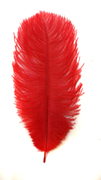 Перо страуса PRK25-30-4 (красный) Цена за 5 шт