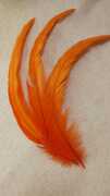 Перо петуха  PPET25-35-31 (оранжевый) 