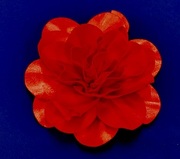 Цветы Ts18-4 (красный) 