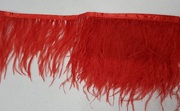 Перо страуса на ленте TSS-4 (красный) 